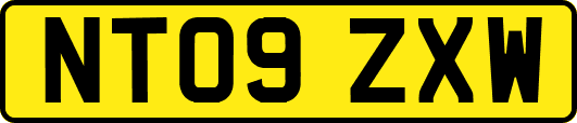 NT09ZXW