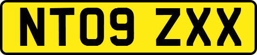 NT09ZXX
