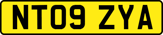NT09ZYA