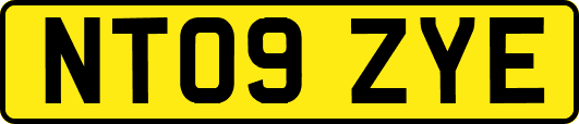 NT09ZYE