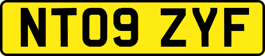 NT09ZYF