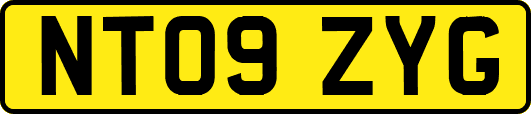NT09ZYG