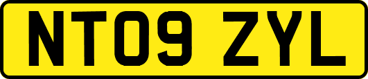 NT09ZYL