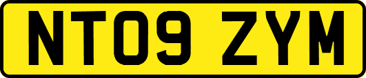 NT09ZYM