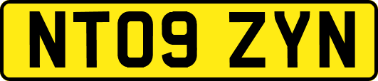 NT09ZYN