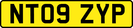 NT09ZYP