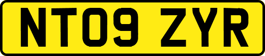 NT09ZYR