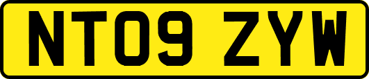 NT09ZYW