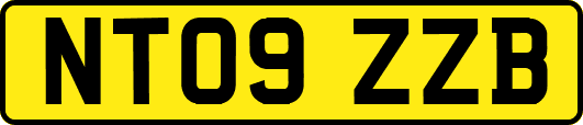 NT09ZZB