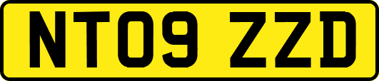NT09ZZD