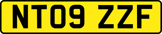 NT09ZZF