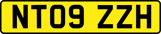 NT09ZZH