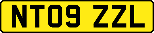 NT09ZZL