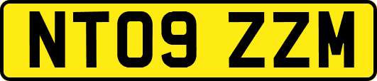 NT09ZZM