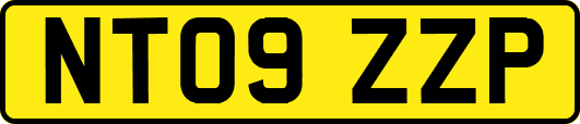 NT09ZZP