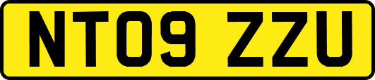 NT09ZZU