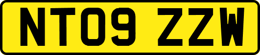 NT09ZZW