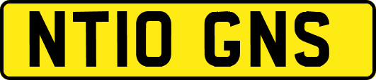 NT10GNS