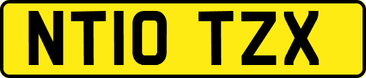 NT10TZX