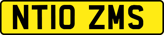 NT10ZMS