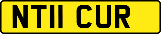 NT11CUR