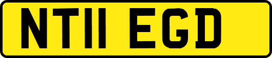NT11EGD