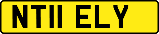 NT11ELY