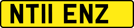 NT11ENZ