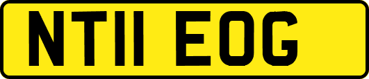 NT11EOG