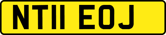 NT11EOJ