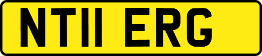NT11ERG