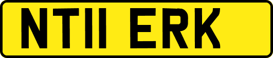 NT11ERK