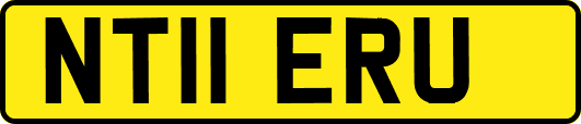 NT11ERU