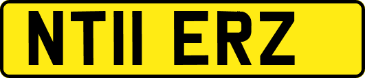 NT11ERZ