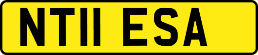 NT11ESA