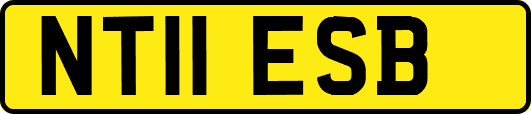NT11ESB