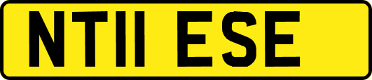 NT11ESE