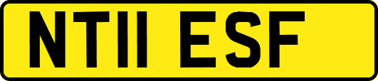 NT11ESF