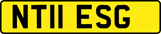 NT11ESG
