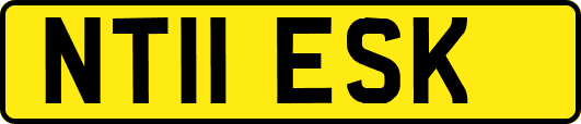 NT11ESK