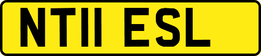 NT11ESL