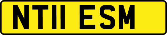 NT11ESM