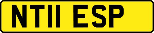 NT11ESP