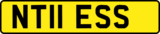 NT11ESS