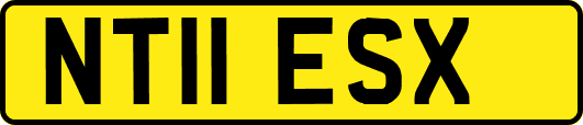 NT11ESX