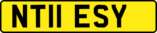 NT11ESY