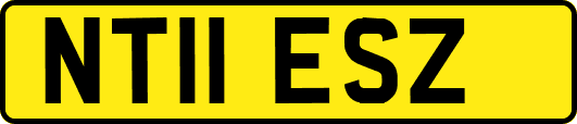 NT11ESZ