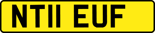 NT11EUF