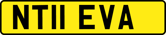 NT11EVA