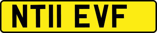 NT11EVF